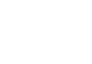 Logo – zur Startseite